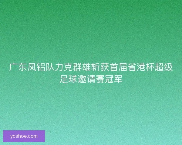 广东凤铝队力克群雄斩获首届省港杯超级足球邀请赛冠军