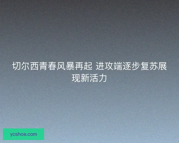 切尔西青春风暴再起 进攻端逐步复苏展现新活力